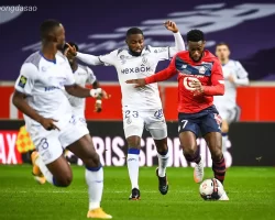 Nhận định kèo xiên 21/08 Lille vs Slavia Praha, Champions League