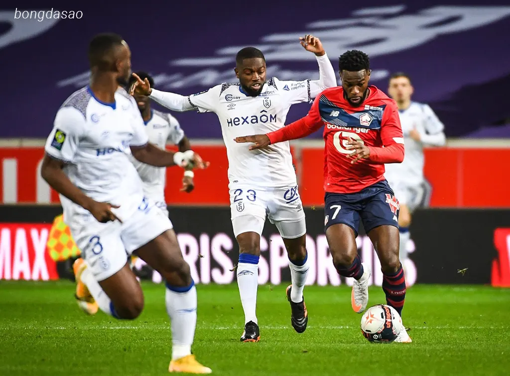 Nhận định kèo xiên 21/08 Lille vs Slavia Praha, Champions League