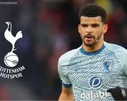 Tin chuyển nhượng 09/08: Tottenham “chơi lớn” với Solanke