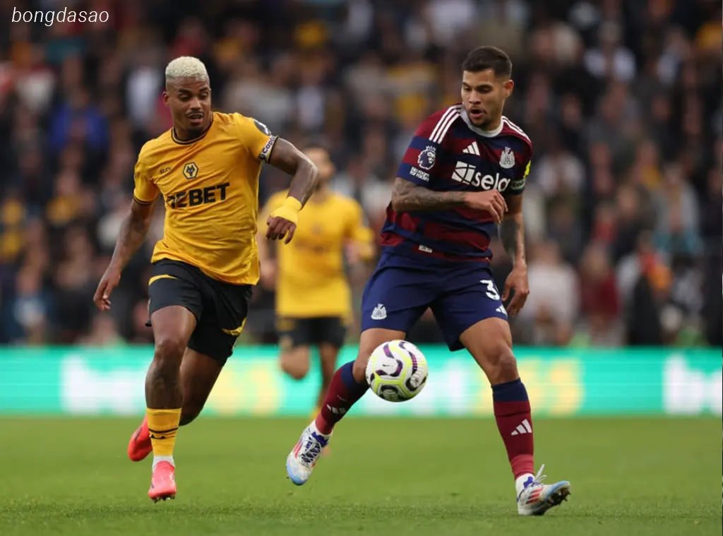 Kết quả bóng đá 15/09: Wolves vs Newcastle
