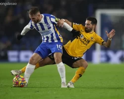 Soi kèo xiên ngày 19/09 Brighton vs Wolves, Carabao Cup
