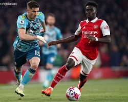 Soi kèo xiên ngày 23/10 Arsenal vs Shakhtar Donetsk, UCL