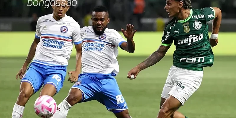 Nhận định soi kèo Bahia vs Palmeiras, 04h00 ngày 21_11 1