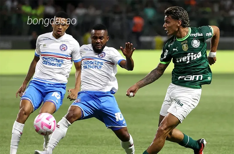 Nhận định soi kèo Bahia vs Palmeiras, 04h00 ngày 21_11 1