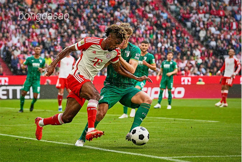 Nhận định soi kèo Bayern Munich vs Augsburg, 02h30 ngày 23_11 1