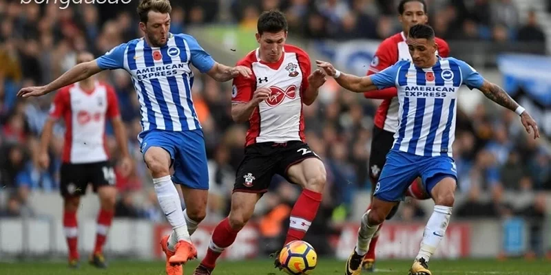 Nhận định soi kèo Brighton vs Southampton, 03h00 ngày 30:11-1