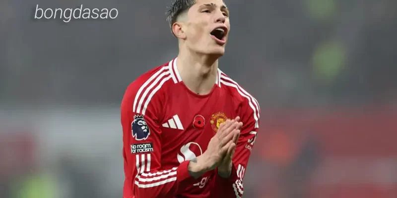 Nhận định soi kèo Ipswich vs Manchester United, 23h30 ngày 24_11 1