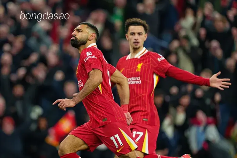 Nhận định soi kèo Liverpool vs Bayer Leverkusen, 03h00 ngày 06_11 1
