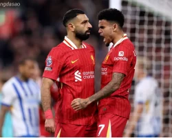 Kết quả bóng đá ngày 06/11: LFC Liverpool hủy diệt Leverkusen