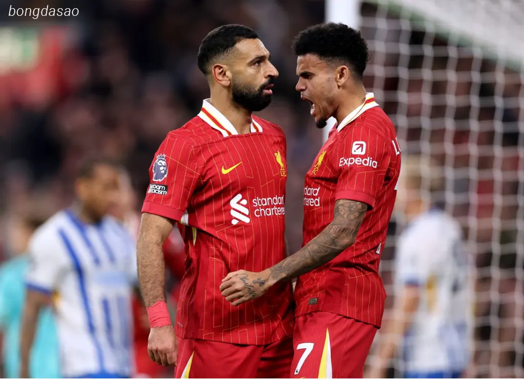 Kết quả bóng đá ngày 06/11: LFC Liverpool hủy diệt Leverkusen