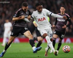 Nhận định kèo xiên 01/12 Tottenham vs Fulham, EPL