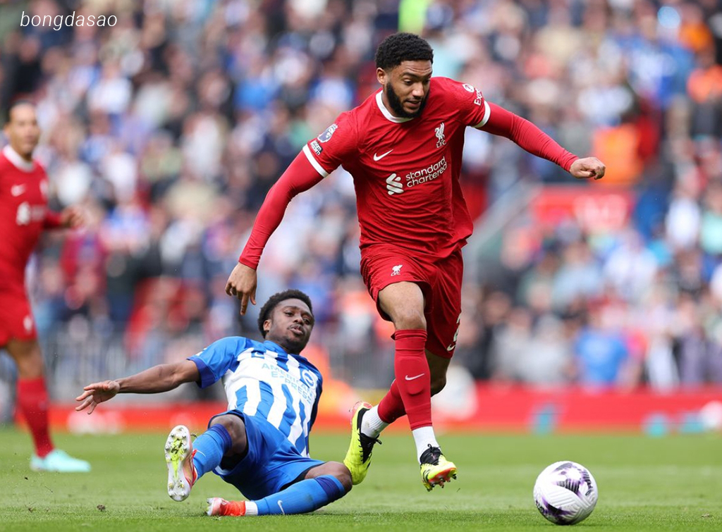 Nhận định kèo xiên 02/11 LFC Liverpool vs Brighton, EPL