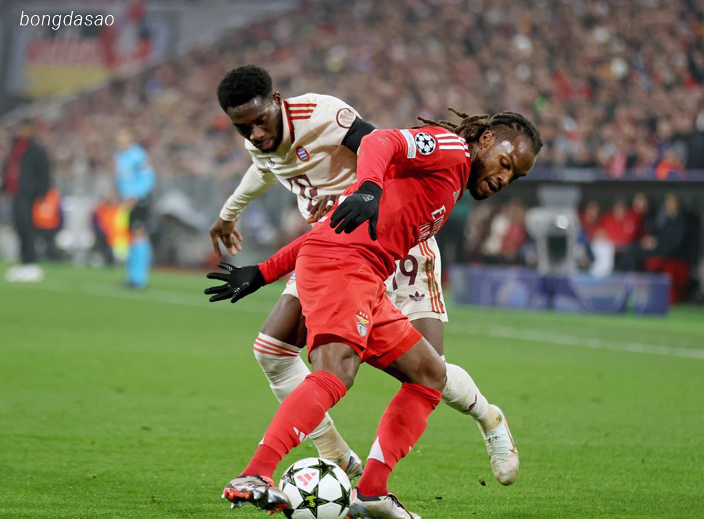 Nhận định kèo xiên 09/11 St Pauli vs FC Bayern Munich, Bundesliga