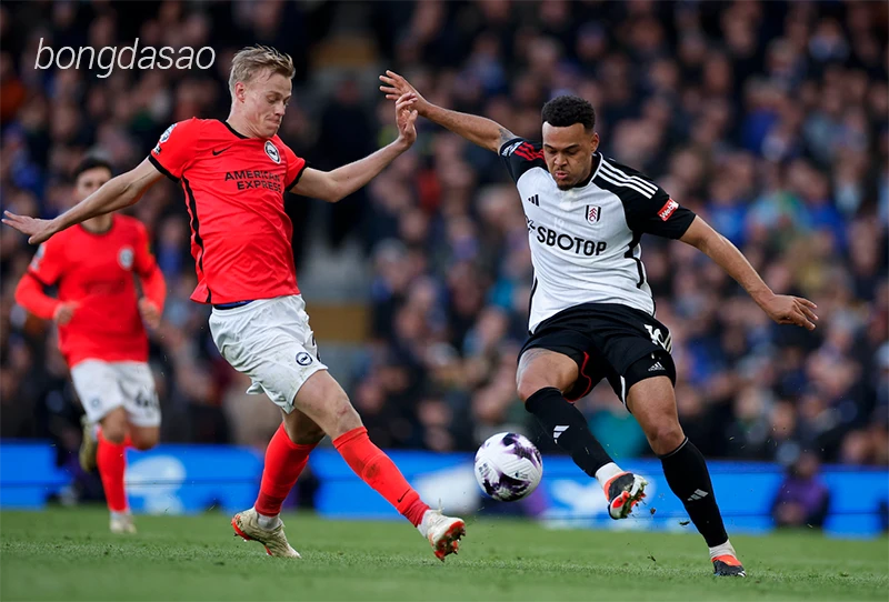 Nhận định soi kèo Fulham vs Brighton, 02h30 ngày 06.12-1