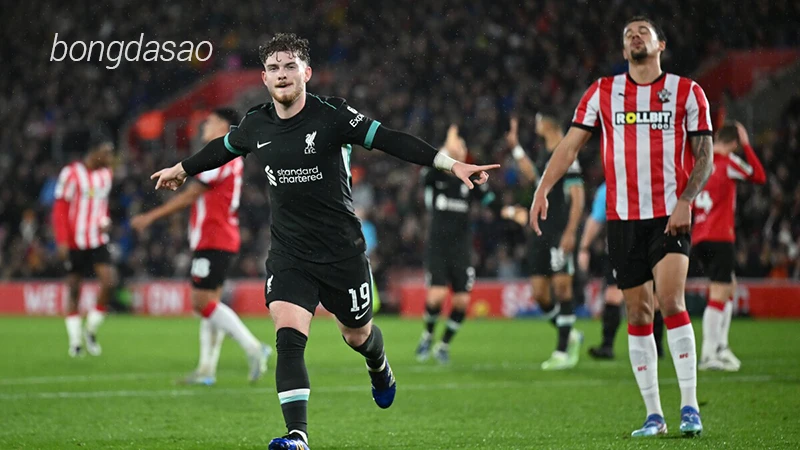 Nhận định soi kèo Southampton vs Liverpool, 03h00 ngày 19.12-1