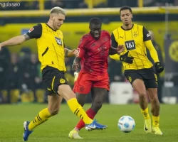 Kết quả bóng đá 01/12: FC Bayern Munich chia điểm với Dortmund