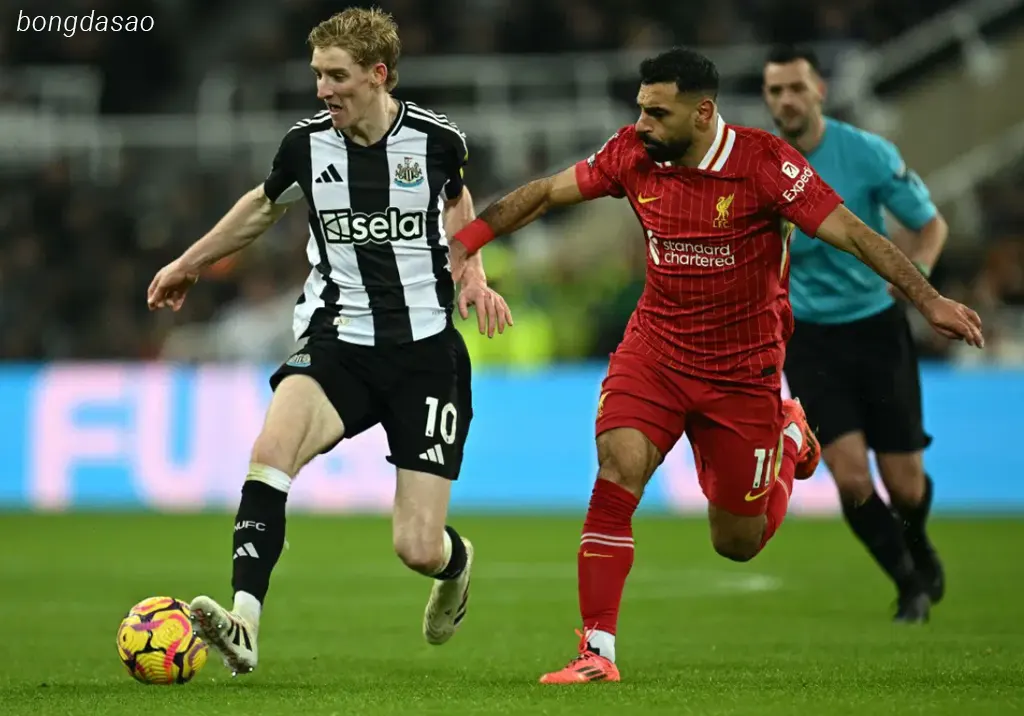 Kết quả bóng đá 05/12: Newcastle vs Liverpool