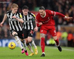 Nhận định kèo xiên 05/12 Newcastle vs LFC Liverpool, EPL