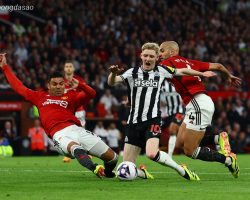 Nhận định kèo xiên 31/12 Man United vs Newcastle, EPL