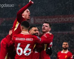 Nhận định soi kèo Liverpool vs Accrington, 19h15 ngày 11.01-1