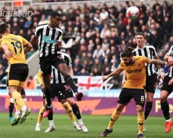 Nhận định soi kèo Newcastle vs Wolves, 02h30 ngày 16.01-1