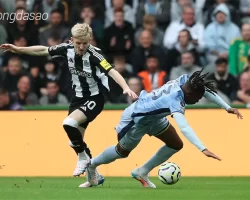 Nhận định soi kèo Tottenham vs Newcastle, 19h30 ngày 04.01-1