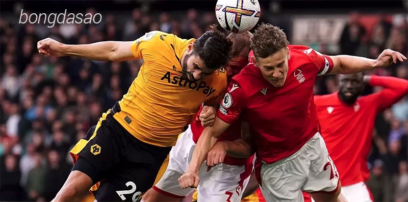 Nhận định soi kèo Wolves vs Nottingham, 03h00 ngày 07.01-1