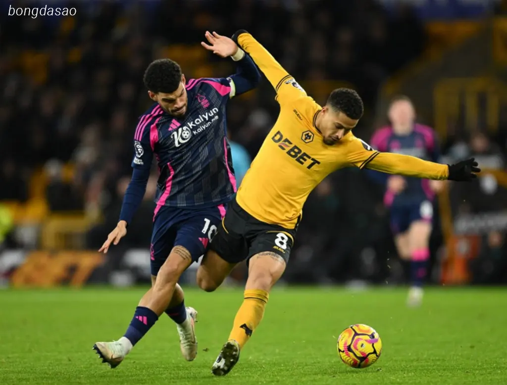 Kết quả bóng đá ngày 07/01: Wolves vs Nottingham Forest