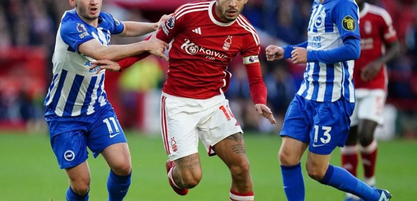 Nhận định kèo xiên 01/02 Nottingham Forest vs Brighton, EPL