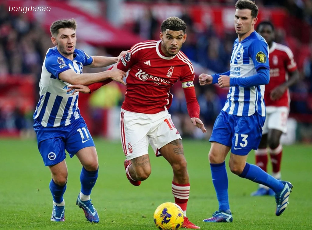Nhận định kèo xiên 01/02 Nottingham Forest vs Brighton, EPL