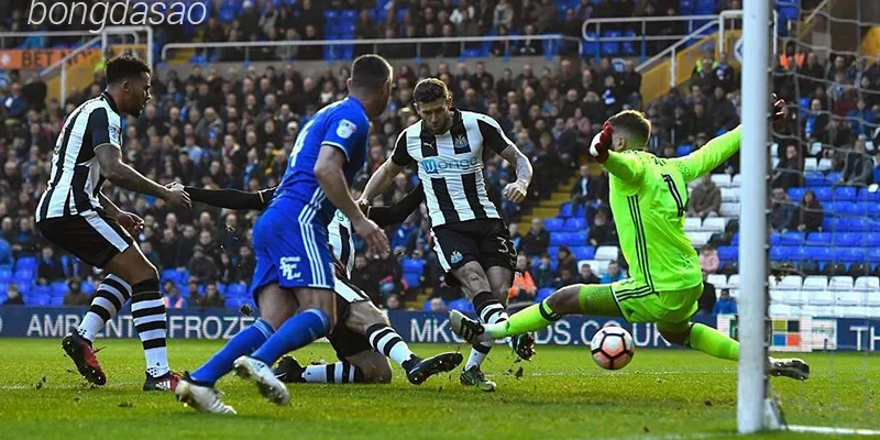 Nhận định soi kèo Birmingham vs Newcastle, 00h45 ngày 09.02-1