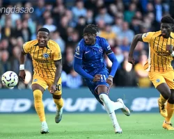 Nhận định soi kèo Brighton vs Chelsea, 03h00 ngày 09-1