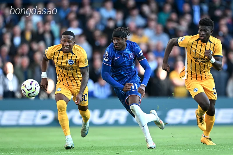 Nhận định soi kèo Brighton vs Chelsea, 03h00 ngày 09-1
