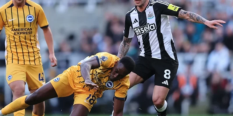 Nhận định soi kèo Newcastle vs Brighton, 20h45 ngày 02.03-1