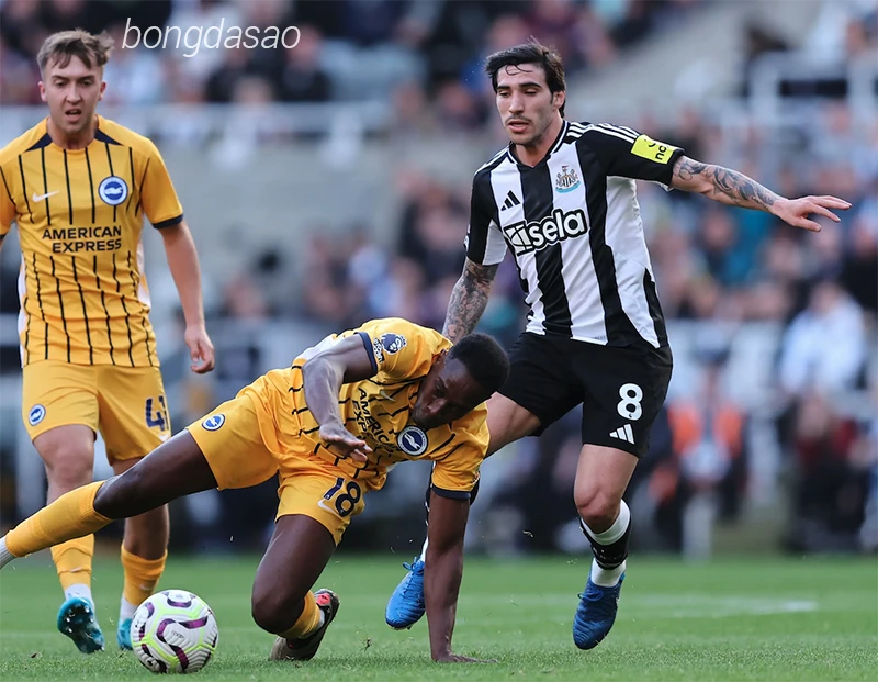 Nhận định soi kèo Newcastle vs Brighton, 20h45 ngày 02.03-1