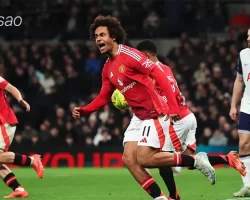 Nhận định soi kèo Tottenham vs Manchester United, 23h30 ngày 16.02-1