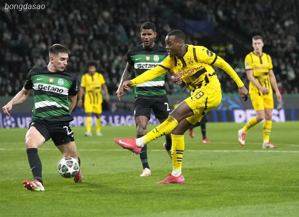 Kết quả bóng đá ngày 12/02: Sporting Lisbon vs Dortmund