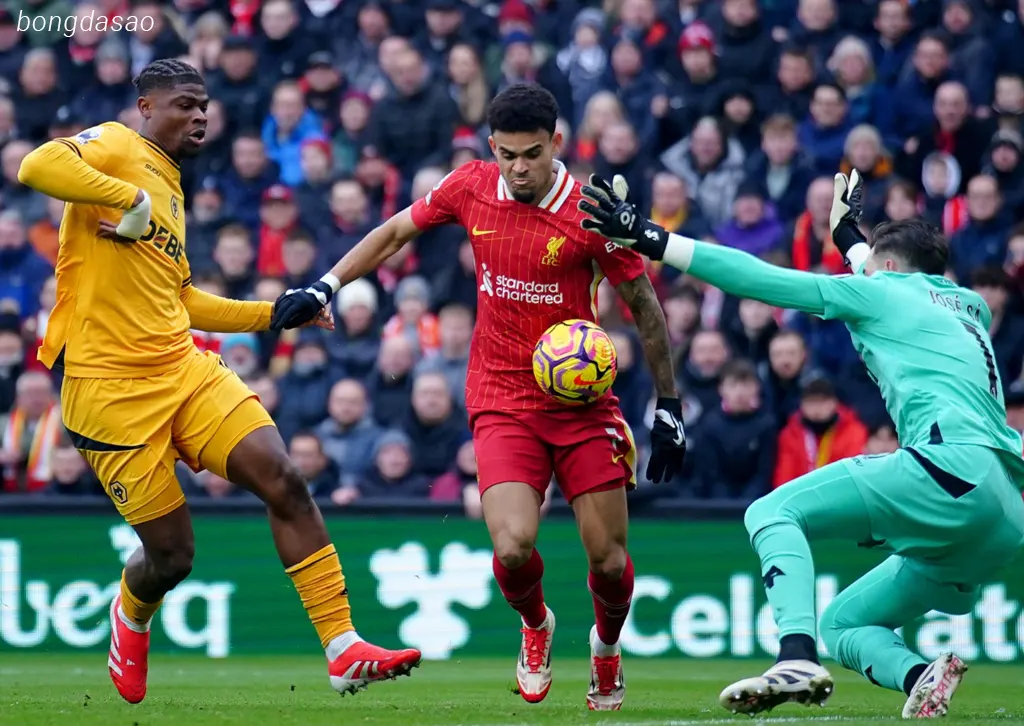 Kết quả bóng đá ngày 16/02: Liverpool vs Wolves