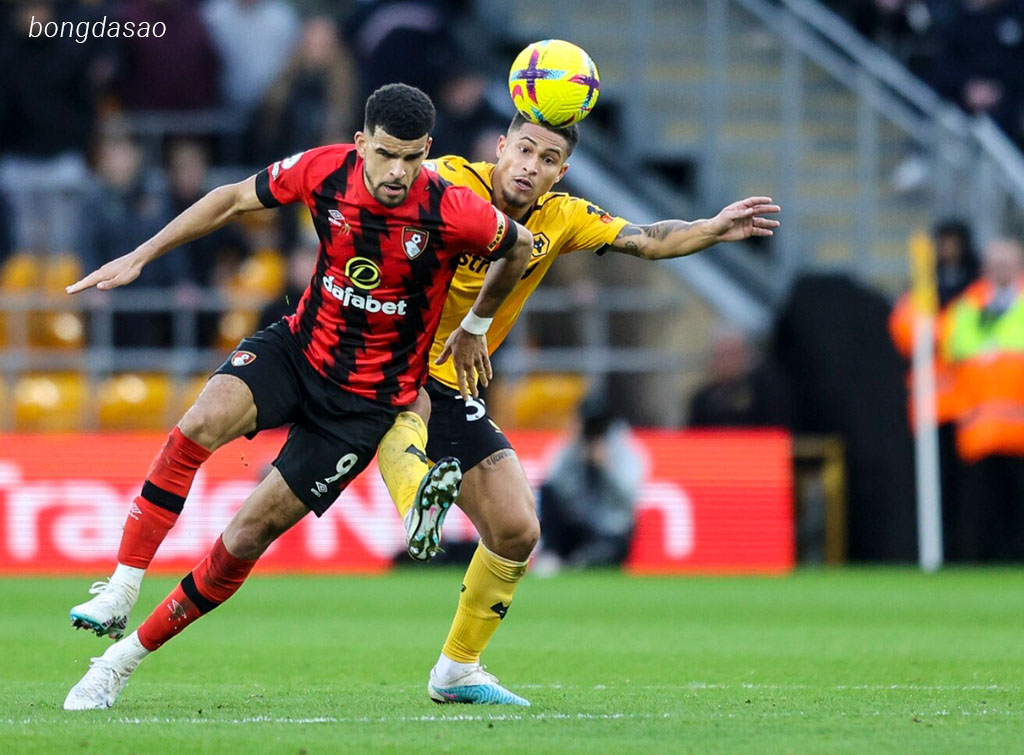 Nhận định kèo xiên 01/03 Bournemouth vs Wolves, FA Cup Nhận định kèo xiên 01/03 Bournemouth vs Wolves, FA Cup