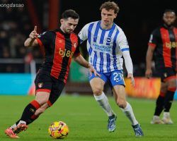 Soi kèo xiên ngày 26/02 Brighton vs Bournemouth, Premier League