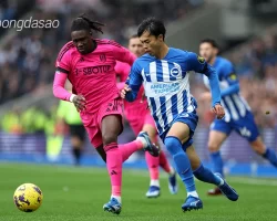 Nhận định soi kèo Brighton vs Fulham, 22h00 ngày 08.03-1