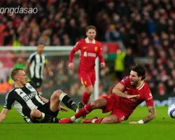 Nhận định soi kèo PSG vs Liverpool, 03h00 ngày 06.03-1