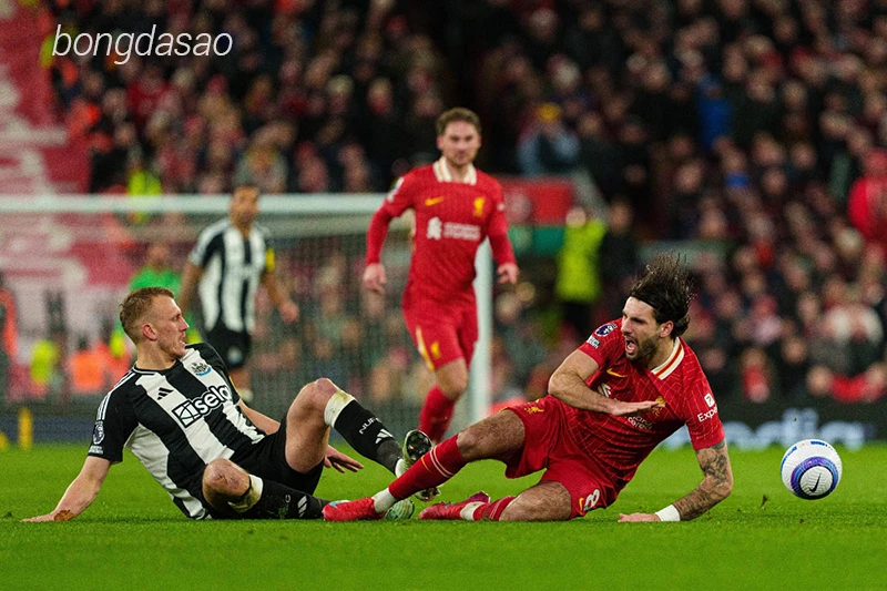 Nhận định soi kèo PSG vs Liverpool, 03h00 ngày 06.03-1