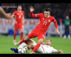 Nhận định soi kèo Wales vs Kazakhstan, 02h45 ngày 23.03-1
