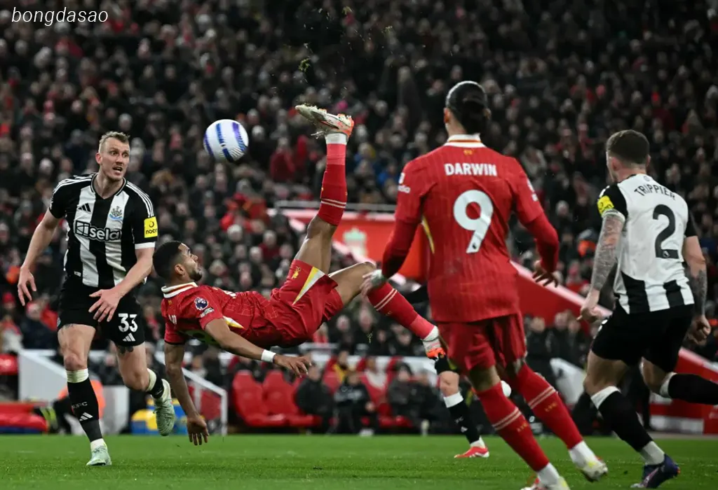 Kết quả vòng 27 Premier League: LFC Liverpool vs Newcastle