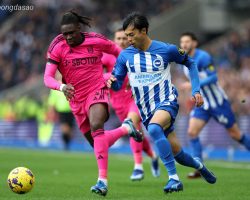 Soi kèo xiên ngày 08/03 Brighton vs Fulham, Premier League