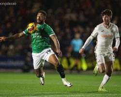 Nhận định kèo xiên 10/04 Swansea vs Plymouth, Championship