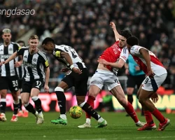 Nhận định soi kèo Arsenal vs Newcastle, 22h30 ngày 18.05-1
