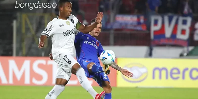 Nhận định soi kèo Botafogo vs Universidad de Chile, 07h30 ngày 28.05 1
