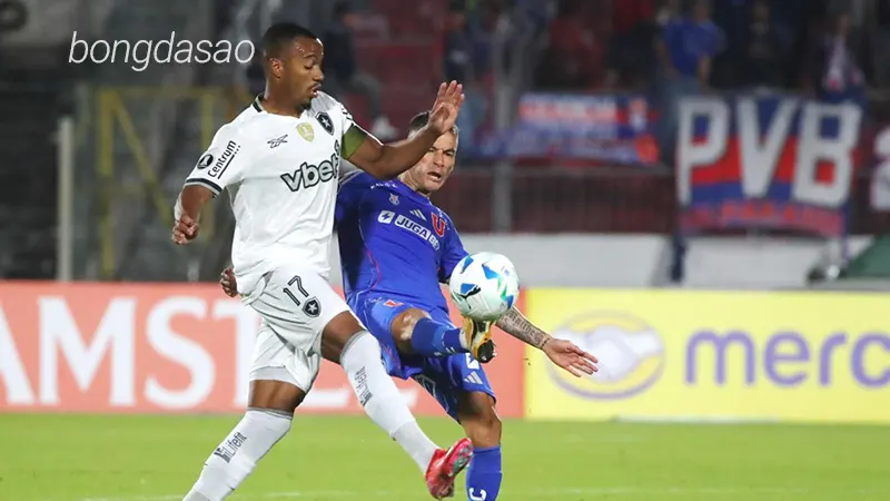 Nhận định soi kèo Botafogo vs Universidad de Chile, 07h30 ngày 28.05 1